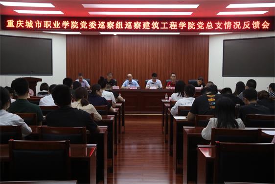 巡察反馈.JPG